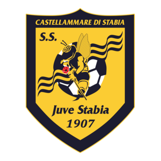 ss-juve-stabia-logo-png_seeklogo-622829